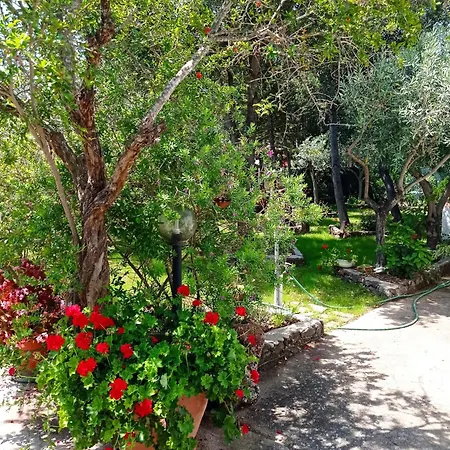 Le Palme