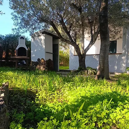 Le Palme Holiday home Cala Liberotto
