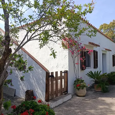 Le Palme Holiday home *